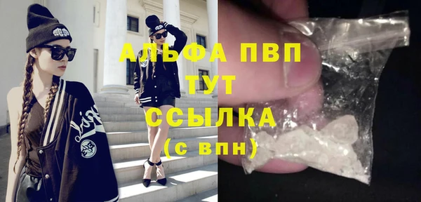 крисы Осташков