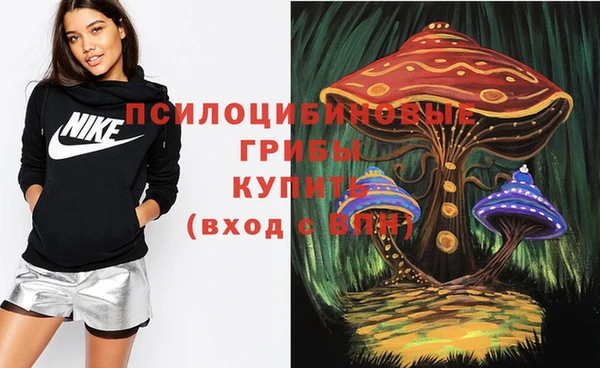 крисы Осташков