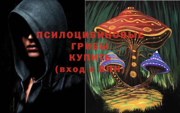 прущие крисы Гусиноозёрск