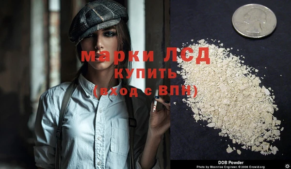 дживик Осинники