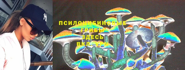 крисы Осташков