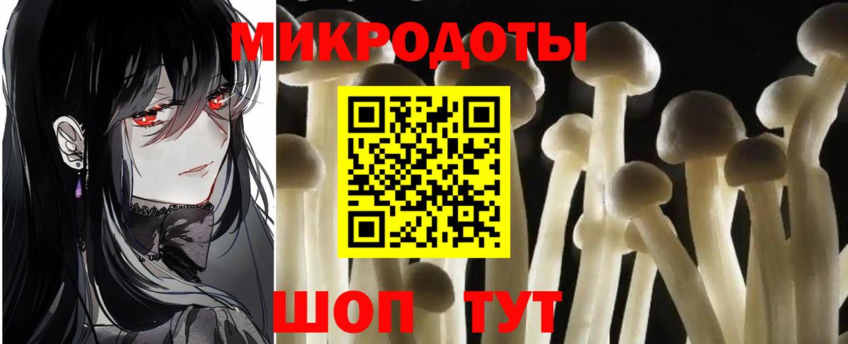 Галлюциногенные грибы Psilocybine cubensis Костомукша