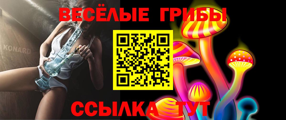 Галлюциногенные грибы прущие грибы  сколько стоит  Галлюциногенные грибы прущие грибы  Костомукша 