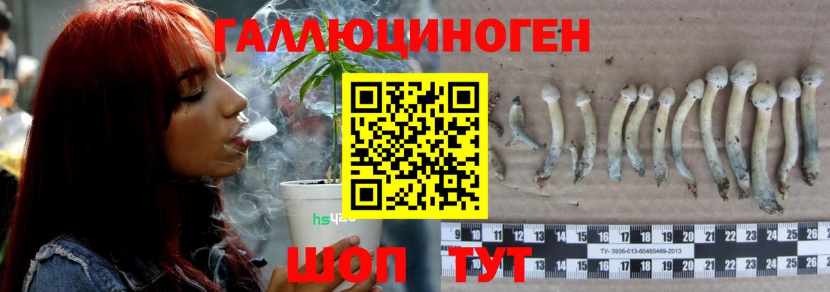 Галлюциногенные грибы GOLDEN TEACHER  как найти закладки  Псилоцибиновые грибы MAGIC MUSHROOMS  Костомукша  Вход с VPN 